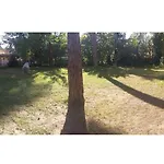 Zakkant-lak 4*