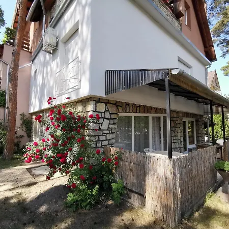 Zakkant-lak * Siofok