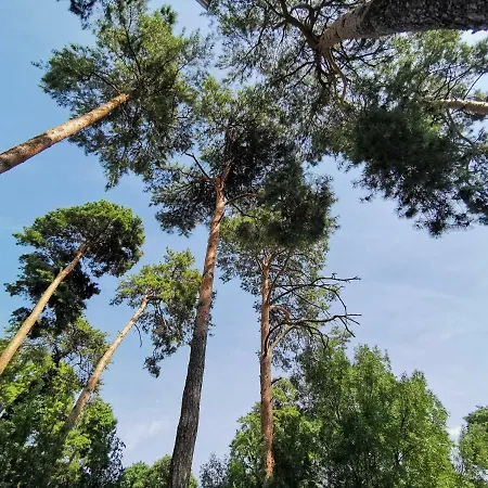 Zakkant-lak 4*